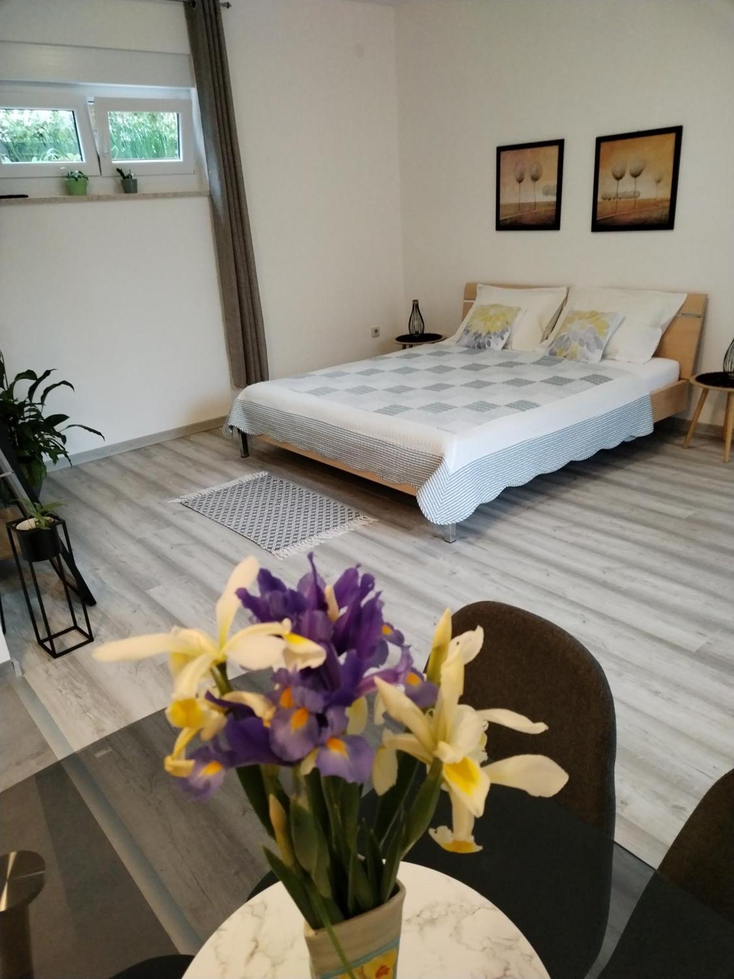 PUY Apartments Mirijana מראה חיצוני תמונה